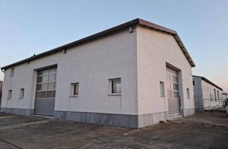 Gewerbeimmobilie mieten in Am Teich, 2452 Mannersdorf am Leithagebirge, Vermietet wird in 2452 Mannersdorf, 2500m² Industriegrund mit 2 Betriebshallen.