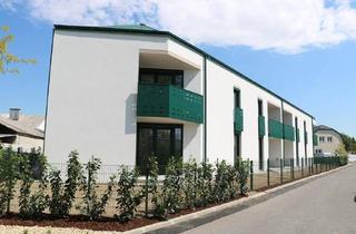 Wohnung mieten in 7301 Deutschkreutz, Wohnung in Deutschkreutz in der Arbeitergasse