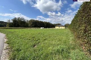 Grundstück zu kaufen in Am Seeweg, 8142 Wundschuh, FABELHAFTES Grundstück! VOLLERSCHLOSSENES und FLACHES BAUGRUNDSTÜCK! TOP Anbindung! IDYLLISCHE Umgebung!