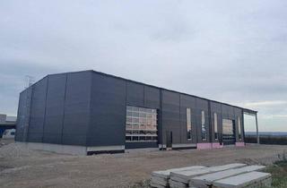 Gewerbeimmobilie kaufen in 3464 Hausleiten, Große Halle