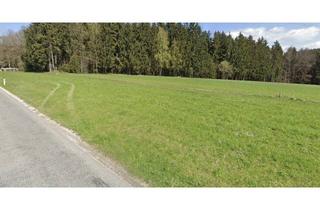 Grundstück zu kaufen in 3372 Blindenmarkt, Grundstücke in Blindenmarkt/Weitgraben I gesamt 5.771m² zu kaufen