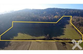 Gewerbeimmobilie kaufen in 8271 Bad Waltersdorf, Landwirtschaftliche Fläche in Bad Waltersdorf