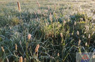 Gewerbeimmobilie kaufen in 5212 Schneegattern, Landwirtschaft mit ca. 55 Hektar!