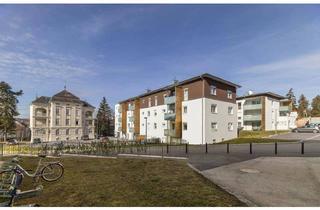 Wohnung mieten in Kirchenplatz 1a, 2020 Hollabrunn, HOLLABRUNN XXIV/1 - Betreutes Wohnen, "Betreutes Wohnen (BV)" - geförderte Mietwohnung, 1. OG Top 1a/4, 1000/00011220/00001104