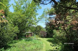 Einfamilienhaus kaufen in 2460 Bruck an der Leitha, 2460 Bruck/Leitha - Wohn-/Geschäftshaus samt kleinem Landhaus im Zentrum mit wunderschönem Garten