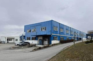 Büro zu mieten in Gewerbestrasse, 4622 Eggendorf im Traunkreis, Vermietung einer Kaltlagerhalle nahe der A1 in Eggendorf im Traunkreis