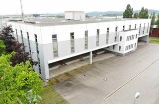 Büro zu mieten in Karl-Pfeffer-Gasse, 3100 Sankt Pölten, Moderne Lagerflächen in St. Pölten zu vermieten