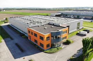 Büro zu mieten in Wirtschaftspark Straße 3, 4482 Ennsdorf, Attraktives Gewerbeobjekt im Gewerbepark Ennsdorf zu vermieten