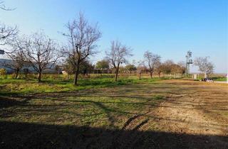 Grundstück zu kaufen in 7020 Loipersbach im Burgenland, 653m² BAUGRUND MIT BRUNNEN