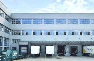 Lager mieten in Brunner Straße 81, 1230 Wien, Multi-Funktionale Gewerbeimmobilie auf drei Ebenen | Lager- und Büroflächen