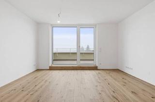 Anlageobjekt in Färberstraße, 2540 Bad Vöslau, PROVISIONSFREI! Lichtdurchflutete 3-Zimmer-Wohnung | Südausrichtung | Terrasse von jedem Raum begehbar