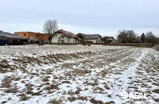 Grundstück zu kaufen in 4070 Pupping, Baugrundstück ohne Bauzwang in 4070 Pupping