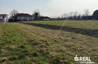 Grundstück zu kaufen in 4070 Pupping, Baugrundstück ohne Bauzwang in 4070 Pupping