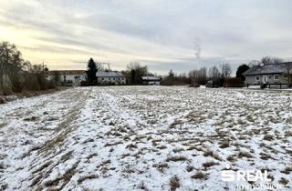 Grundstück zu kaufen in 4070 Pupping, Baugrundstück ohne Bauzwang in 4070 Pupping