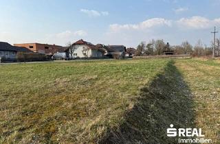 Grundstück zu kaufen in 4070 Pupping, Baugrundstück ohne Bauzwang in 4070 Pupping