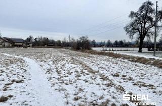 Grundstück zu kaufen in 4070 Pupping, Baugrundstück ohne Bauzwang in 4070 Pupping