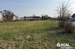 Grundstück zu kaufen in 4070 Pupping, Baugrundstück ohne Bauzwang in 4070 Pupping