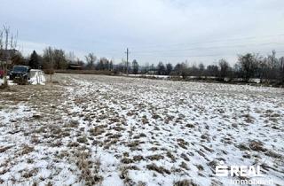 Grundstück zu kaufen in 4070 Pupping, Baugrundstück ohne Bauzwang in 4070 Pupping