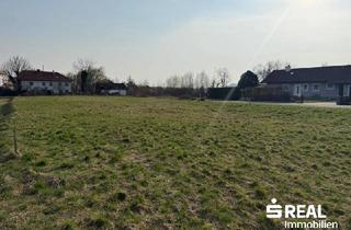 Grundstück zu kaufen in 4070 Pupping, Baugrundstück ohne Bauzwang in 4070 Pupping