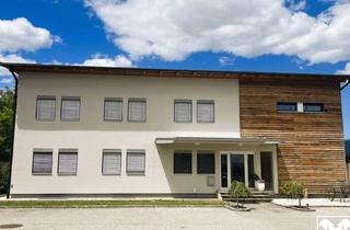 Büro zu mieten in 9710 Feistritz an der Drau, Platz Für Wachstum: Feistritz/Drau Eröffnet Chancen Für Firmen und Start-Ups
