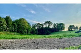 Grundstück zu kaufen in 4631 Krenglbach, TOP PREIS-LEISTUNG IN SUPER SONNIGER LAGE!