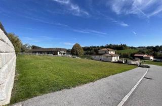 Grundstück zu kaufen in Würzberg, 4431 Haidershofen, Baugrund / Vestenthal / ohne Bauzwang