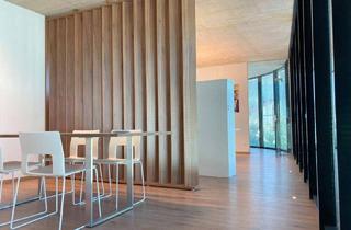 Büro zu mieten in Münchner Straße 11, 6130 Schwaz, City-Lage - verkehrsgünstig – möbliert