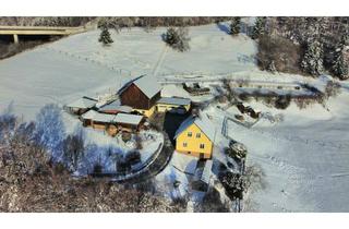 Gewerbeimmobilie kaufen in 9433 Burgstall-Pölling, Einmalige, top gelegene Pferderanch im Lavanttal!