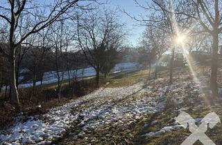 Gewerbeimmobilie kaufen in 8380 Jennersdorf, Landwirtschaftliche Fläche mit kleinem Wald nähe Bad Loipersdorf