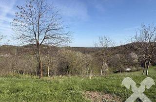 Gewerbeimmobilie kaufen in 8380 Jennersdorf, Landwirtschaftliche Fläche mit kleinem Wald nähe Bad Loipersdorf