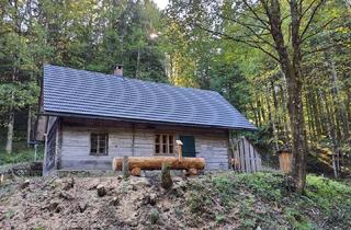 Haus mieten in 4462 Reichraming, Vermietung Dukateneckhütte im Nationalpark Kalkalpen