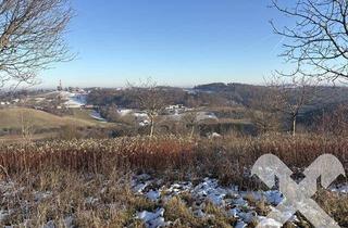 Grundstück zu kaufen in 8380 Jennersdorf, Baugrundstück in wunderbarer Kuppen-Lage