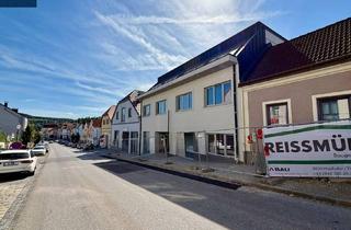 Büro zu mieten in 3910 Zwettl-Niederösterreich, NEUBAU ERSTBEZUG - Geschäftsfläche im Stadtzentrum von Zwettl 124 m² Nutzfläche