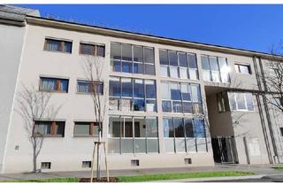 Wohnung kaufen in 2103 Langenzersdorf, Wien-Strebersdorf: 3-Zimmer-Loggia-Wohnung nahe De-la-Salle-Campus