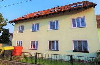 Wohnung mieten in 2201 Seyring, >>> SINGLEWOHNUNG in S-BAHNNÄHE