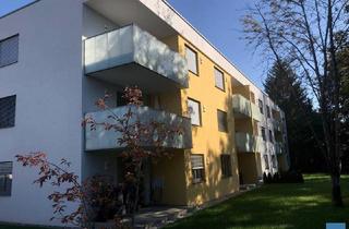 Wohnung mieten in Wildfellnerstraße 31, 4910 Ried im Innkreis, Objekt 2181: 2-Zimmerwohnung in 4910 Ried im Innkreis, Wildfellnerstraße 31, Top 11 (inkl. Carport)