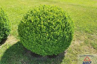 Einfamilienhaus kaufen in 9851 Lieseregg, Einfamilienhaus in der Gemeinde Seeboden!