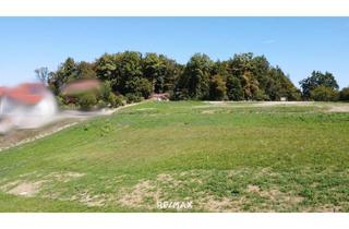 Grundstück zu kaufen in Grubtal, 8462 Gamlitz, Sonniges Grundstück in Grubtal