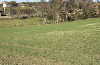 Grundstück zu kaufen in 3701 Ameistal, SONNIGE LEBENSQUALITÄT AM LAND FÜR IHR PRIVATES EINFAMILIENHAUS OHNE BAUZWANG