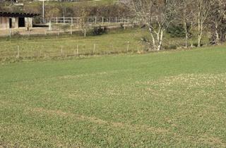 Grundstück zu kaufen in 3701 Ameistal, SONNIGE LEBENSQUALITÄT AM LAND FÜR IHR PRIVATES EINFAMILIENHAUS OHNE BAUZWANG