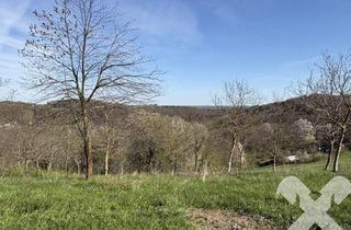 Grundstück zu kaufen in 8380 Jennersdorf, Landwirtschaftliche Fläche mit Kleinem Wald Nähe Bad Loipersdorf
