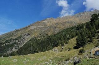 Grundstück zu kaufen in Ritzenried, 6474 Jerzens, 30.325 m² Freiland mit Waldanteil in alpiner Lage - Ihre Chance auf Natur!