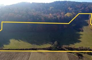 Grundstück zu kaufen in 8271 Bad Waltersdorf, Landwirtschaftliche Fläche in Bad Waltersdorf