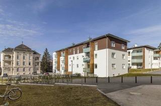 Wohnung mieten in Kirchenplatz 1A, 2020 Hollabrunn, HOLLABRUNN XXIV/1 - Betreutes Wohnen, "Betreutes Wohnen (BV)" - geförderte Mietwohnung, 1. OG Top 1a/4, 1000/00011220/00001104