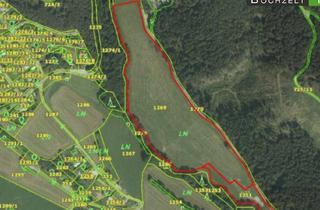 Grundstück zu kaufen in Autobahnzubringer Feistritz, 8733 Feistritz bei Knittelfeld, Ca. 3,9 ha Ackerfläche in +++ St. Marein - Feistritz +++