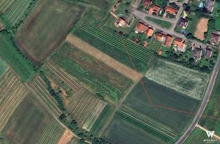 Gewerbeimmobilie kaufen in 3712 Maissau, Weingärten in Maissau zu kaufen | 2 Parzellen | Gesamtgröße ca. 3.618 m2