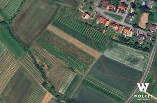 Agrarfläche kaufen in 3712 Maissau, Weingärten in Maissau zu kaufen | 2 Parzellen | Gesamtgröße ca. 3.618 m2