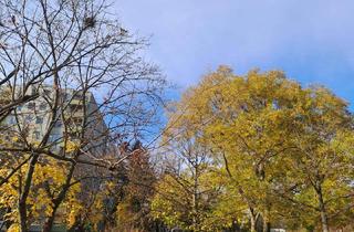 Wohnung kaufen in 1210 Wien, GEPFLEGTE 2-ZIMMER-WOHNUNG MIT LOGGIA & SCHÖNEM AUSBLICK - SEHR GUTE INFRASTRUKTUR