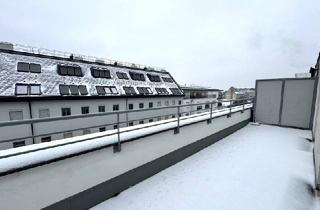 Wohnung mieten in Brünner Straße, 1210 Wien, Terrassenwohnung mit viel Platz