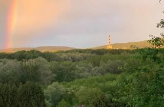 Immobilie kaufen in Hauptstraße, 3420 Kritzendorf, Etablierter, aktiver Pensionsbetrieb in Kritzendorf bei Klosterneuburg